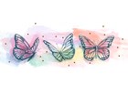 3 kleurige vlinders